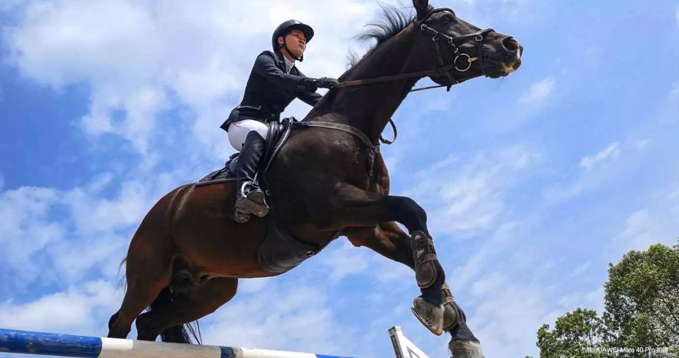 最好的拍照手机是哪一款（2021拍照最佳的4款手机） 